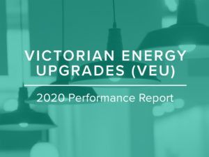 VEU 2020 Performance Report