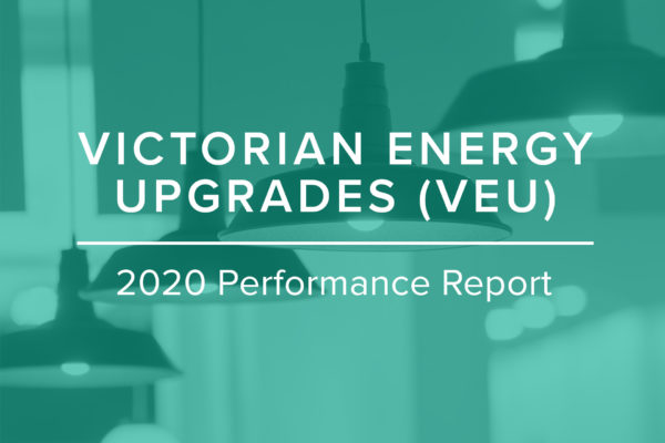 VEU 2020 Performance Report