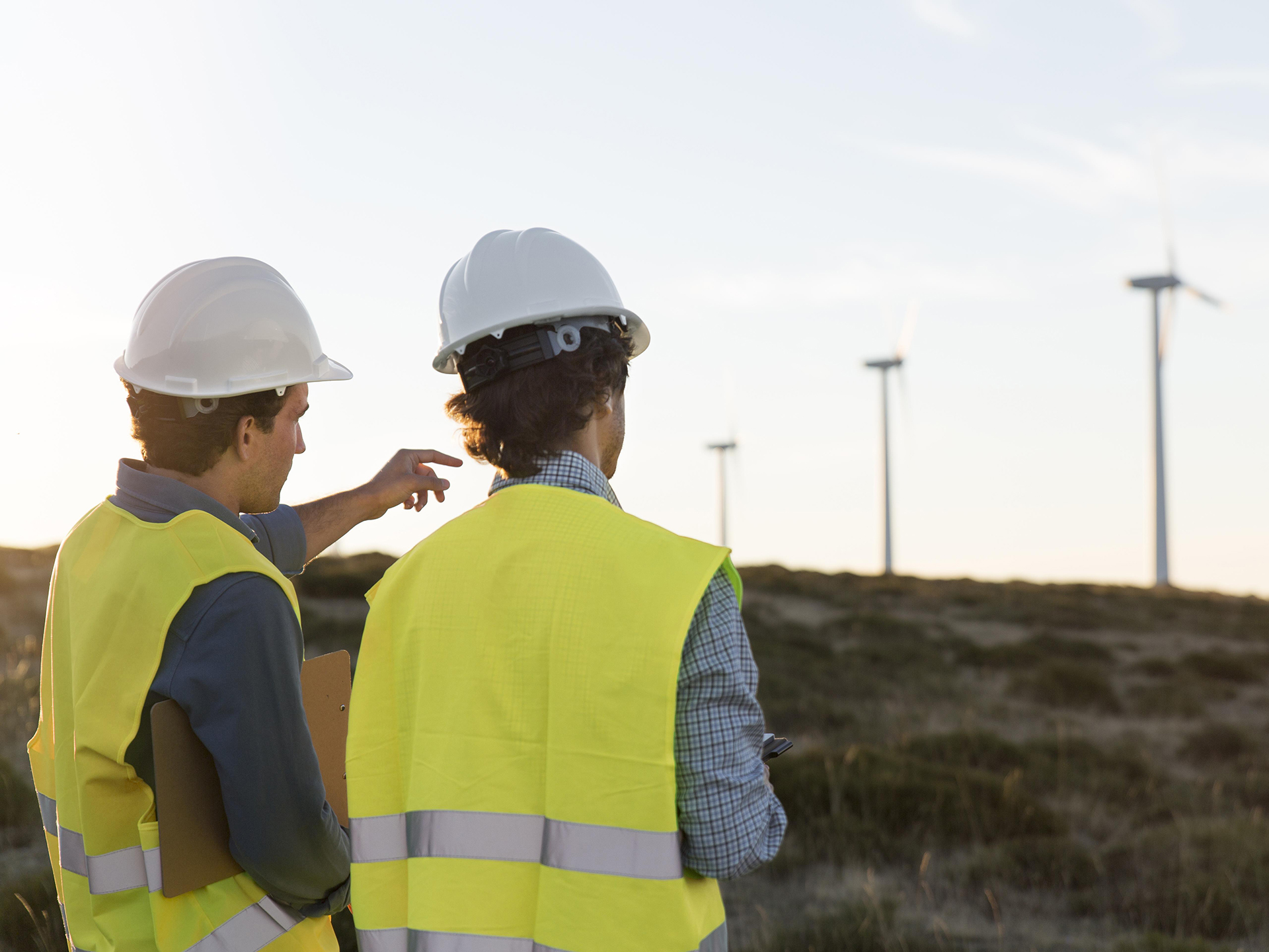 Australian Energy Employment Report Survey (AEER)